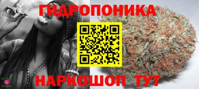 дурь Тара