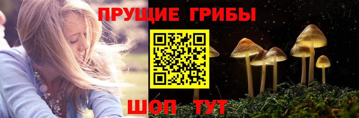 Галлюциногенные грибы прущие грибы  где можно купить наркотик  Михайловск  Вход с VPN 